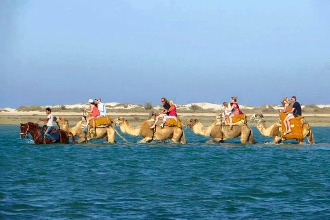 Diving initiation (Initiation) - Starting at Club de Plongée La Sirène in Djerba