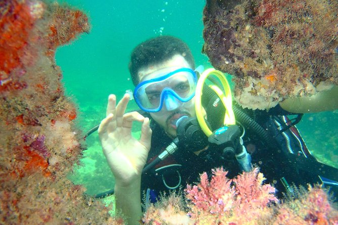 Diving initiation (Initiation) - Getting comfortable with the equipment