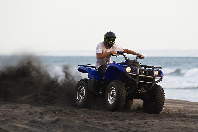 Djerba Island: 1.5-Hour Quad Biking Adventure - Eucalyptus and prickly-pear paths