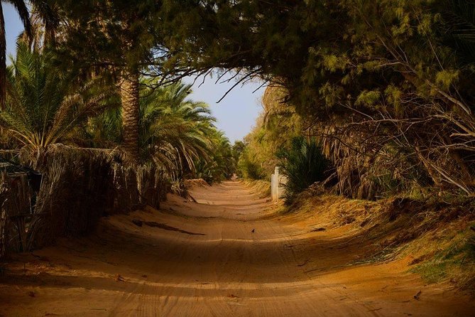 Door of the tunisian desert Ksar Ghilane and Matmata: Full one Day - What the guide can add to the day