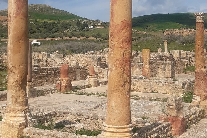 Dougga and Bulla Regia Guided Tour From Tunis - Testour brings tea, cheese, and Andalusian culture