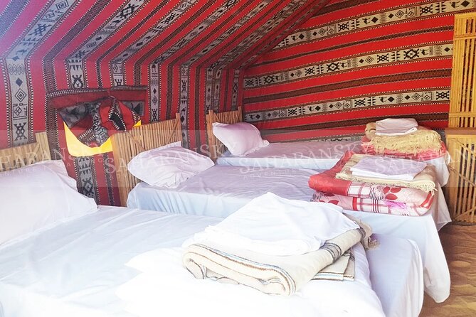 Douz Overnight Camp Stay in Sahara Desert with Dinner By Camel - Group size, guide style, and the level of service
