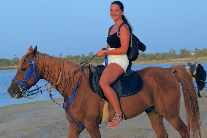 Explore Djerba by camel and horse - Key things to know before you book