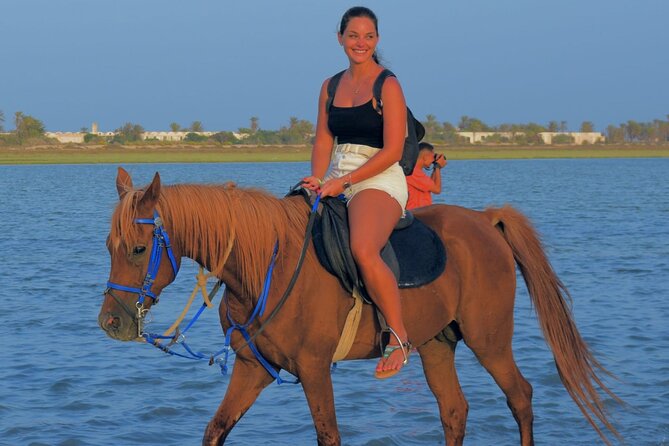Explore Djerba by camel and horse - From Hôtel Dar el Manara to the ranch