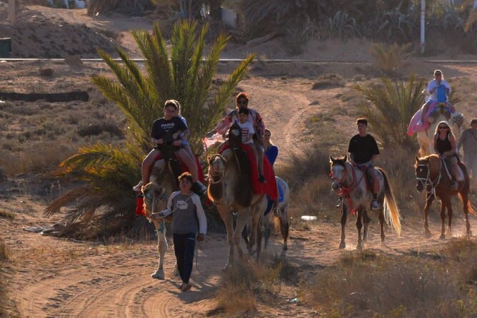 Explore Djerba by camel and horse - Following Berber tracks toward the lagoon