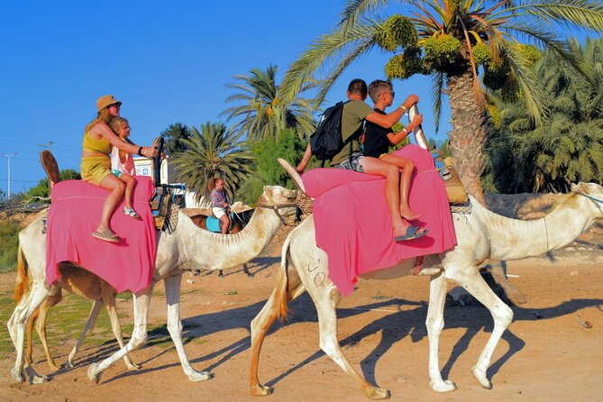 Explore Djerba by camel and horse - The return trip adds useful flexibility