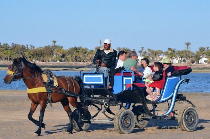 Explore Djerba by camel and horse - Guides, animal care, and group size