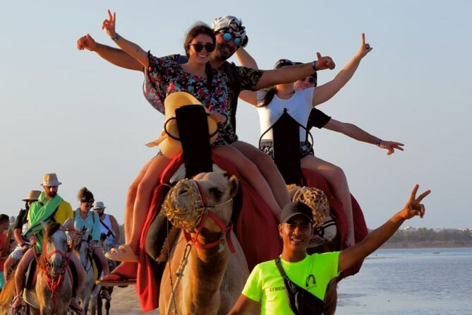 Explore Djerba by camel and horse - Is $42.97 good value for two and a half hours?
