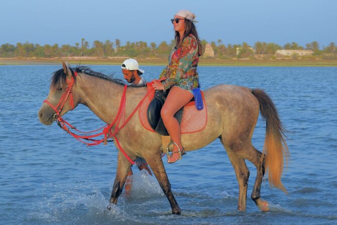 Explore Djerba by camel and horse - Best departure time and what to bring