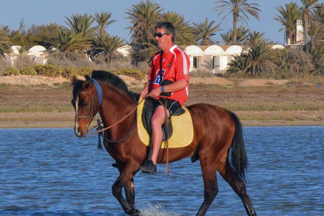 Explore Djerba by camel and horse - Choosing between horse, camel, and carriage