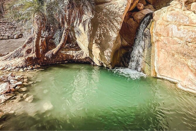 Explore Tunisia in Depth:The Private Grand Tour in 8 Days - Day 7: Bardo, Tunis, Carthage, and Sidi Bou Said
