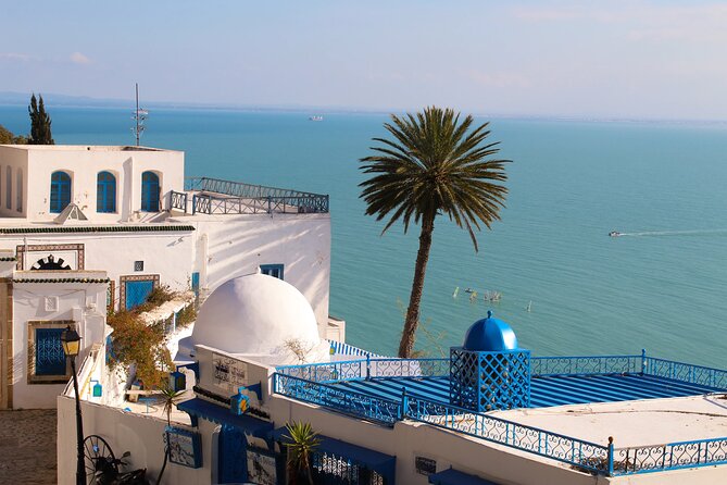 Explore Tunisia in Depth:The Private Grand Tour in 8 Days - Day 1: A simple arrival in Tunis
