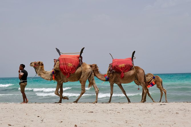 From Djerba : 1 day in the footsteps of Star Wars "Mos Eisley" - Why this Djerba day works