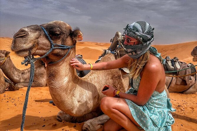 From Djerba: Explore the desert in a day - Key points at a glance