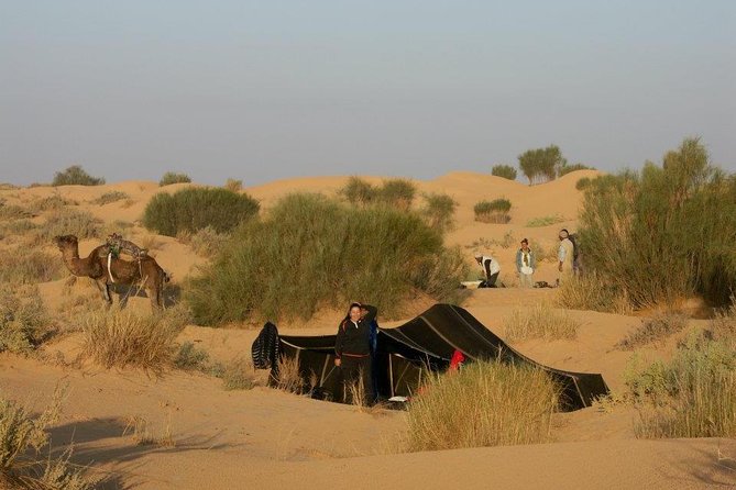 From Tozeur: 3-Day Desert Trip - What This Three-Day Sahara Trip Is Really Offering