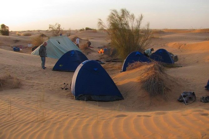 From Tozeur: 3-Day Desert Trip - Debebcha and the Shift Toward the Desert