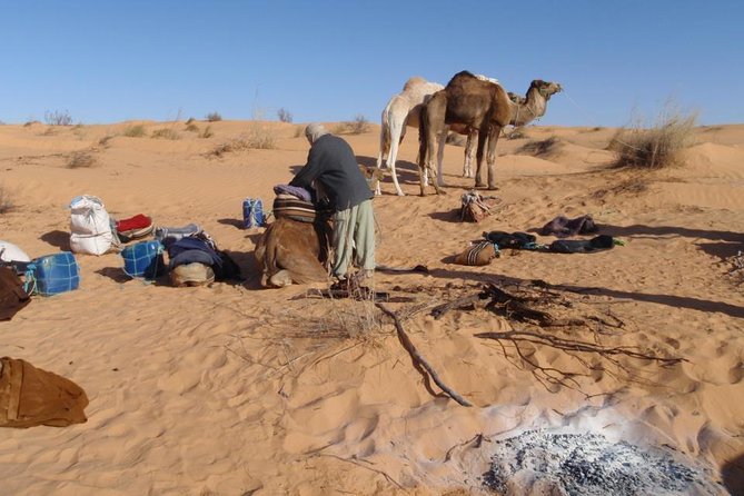 From Tozeur: 3-Day Desert Trip - Dinner Beneath the Stars at the Desert Camp