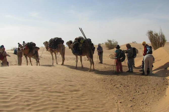 From Tozeur: 3-Day Desert Trip - How Good Is the $368.81 Value?