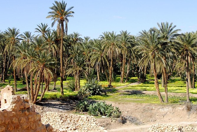 From Tunis: Star Wars 5 day tour - Day four: Ksar Ghilane and the Sidi Idriss hotel