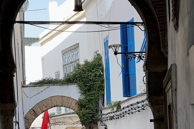 Full-Day Shore Excursion Private Tour in Tunisia Carthage ,Medina, Sidi Bou said - Who should choose this port excursion?
