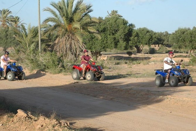 Great ride forest and blue lagoon in quad - Olive groves, palms, and everyday island life