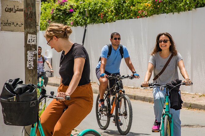 Group Guided Bike Tour of Carthage Archeological Site in Tunisia - Why a bike makes sense at Carthage
