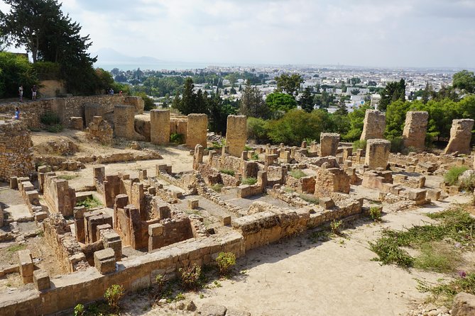 Guided Bike Tour of Carthage Archeological Site in Tunisia - What the Guide Adds to the Ride