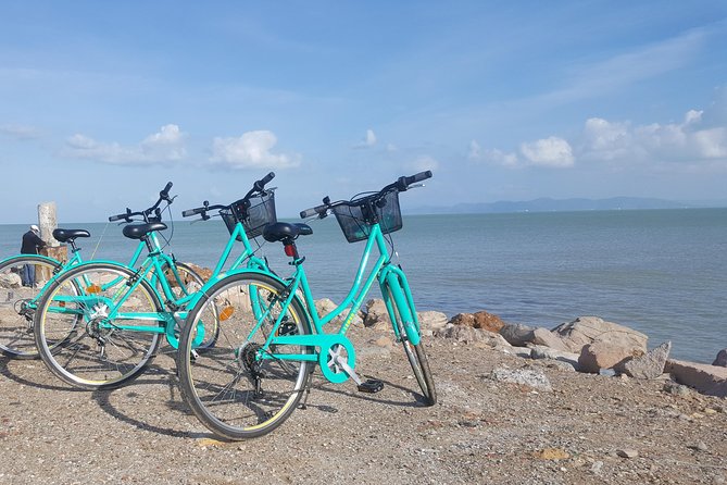 Guided Bike Tour of Carthage Archeological Site in Tunisia - Electric Bike, Heat, and Road Conditions
