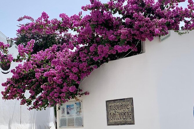 Half a day in Sidi Bousaid from Hammamet - Why Sidi Bou Said Deserves the Trip from Hammamet