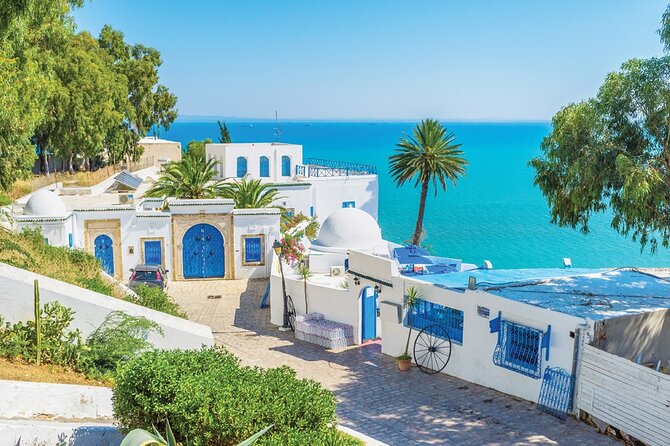 Half a day in Sidi Bousaid from Hammamet - What the Driver Adds to the Experience