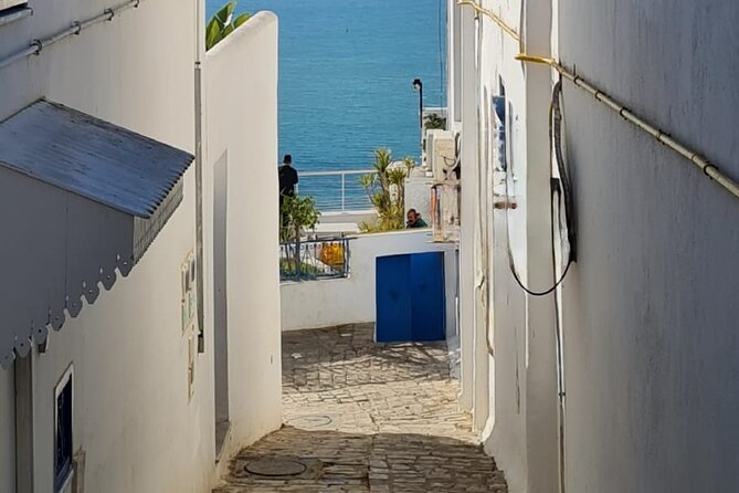 Half a day in Sidi Bousaid from Hammamet - Value at $44.15 Per Person
