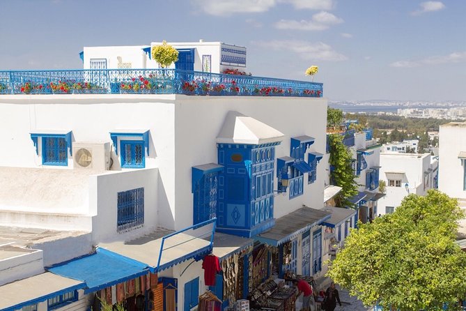 Half-Day Carthage, Sidi Bou Said Private Tour with Licensed Guide - Key points at a glance