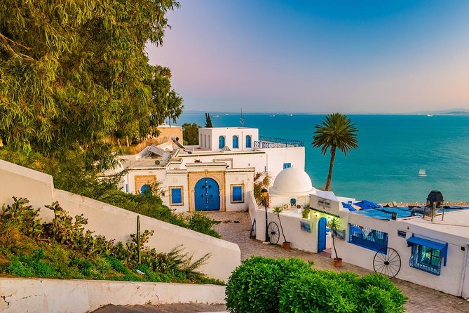 Half-Day Carthage, Sidi Bou Said Private Tour with Licensed Guide - Why this pairing works so well
