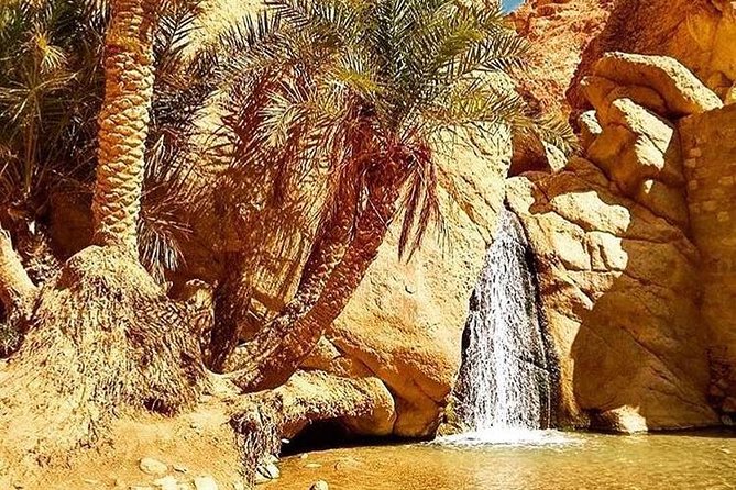 Half-day excursion the mountain oases from Tozeur - Why these mountain oases are worth your half-day