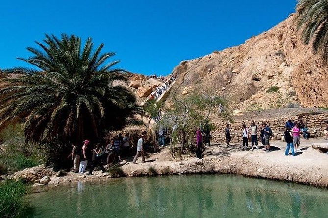 Half-day excursion the mountain oases from Tozeur - Mides Valley near the Algerian border