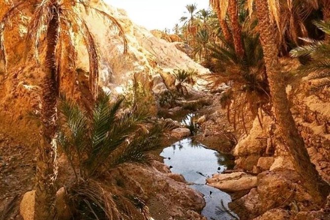Half-day excursion the mountain oases from Tozeur - Is $65.31 a fair price?