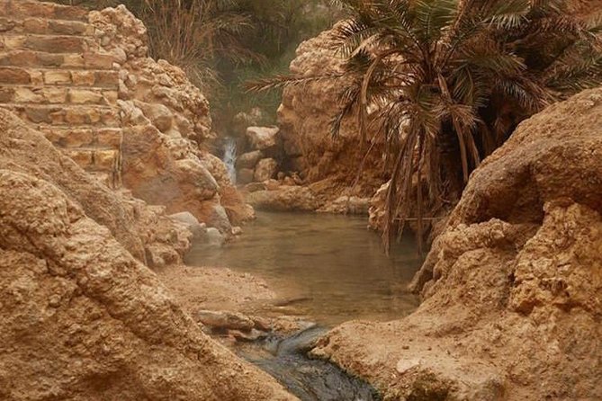 Half-day excursion the mountain oases from Tozeur - Who should take this Tozeur excursion?