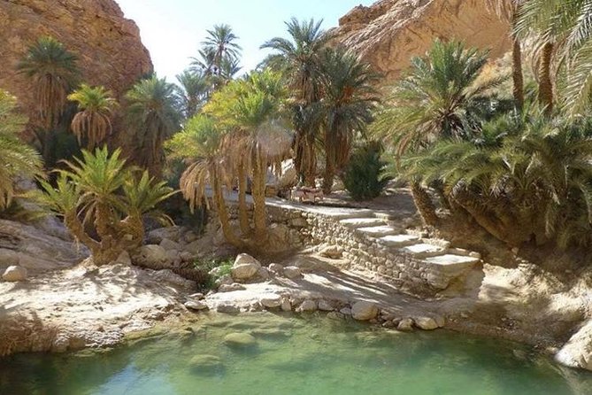 Half-day excursion the mountain oases from Tozeur - Leaving Tozeur for Chebika Oasis