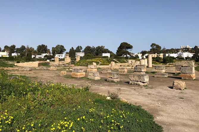 Historical Tour of Ancient Carthage - Why Carthage is worth your time