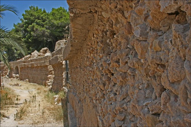 Historical Tour of Ancient Carthage - Is $104 a fair price?