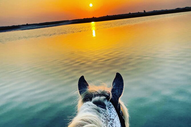 Horseback riding at sunrise 3h - Why the 4 a.m. Start Matters