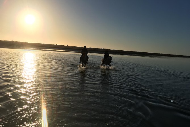 Horseback riding at sunrise 3h - The Riding Standard Is the Important Detail