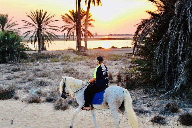 Horseback riding at sunrise 3h - What the Three Hours Feel Like