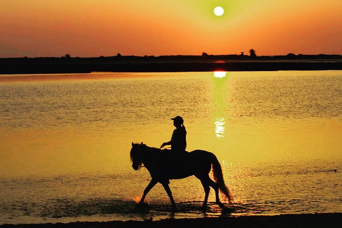 Horseback riding at sunrise 3h - Weather, Cancellation, and Planning