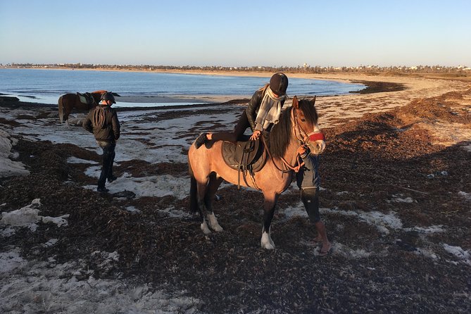 Horseback riding at sunrise 3h - Who Will Enjoy This Ride Most?