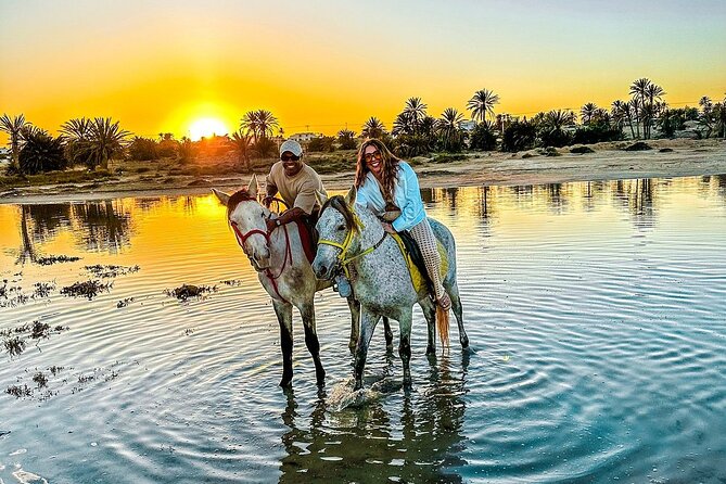 Horseback riding or camel at sunset in Djerba - Key points at a glance
