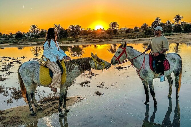Horseback riding or camel at sunset in Djerba - Choosing a horse or camel