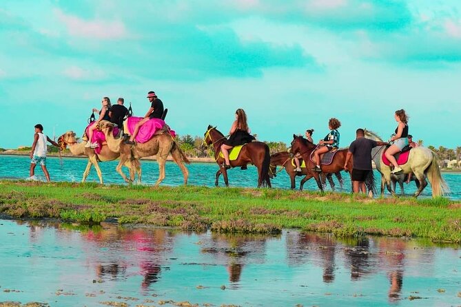 Horseback riding or camel at sunset in Djerba - The value of $29.04