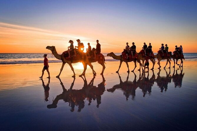 Horseback riding or camel at sunset in Djerba - Who should book this sunset outing?