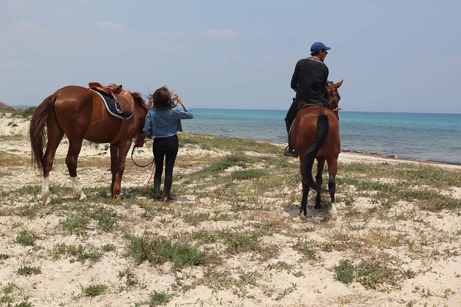 Horseback riding with private transfer - The beach route and time beside the sea